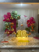 Combo Led numeros do (0 a0 9) Slim 50CM - Base removivel