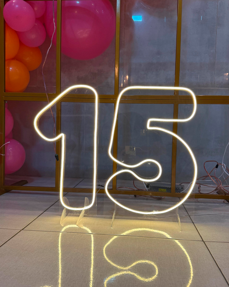 Número em Led Neon (0 ao 9) Buchudinho 50CM - 2mm - Base Removível