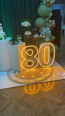 Combo Led numeros do (0 a0 9) Slim 50CM - Base removivel