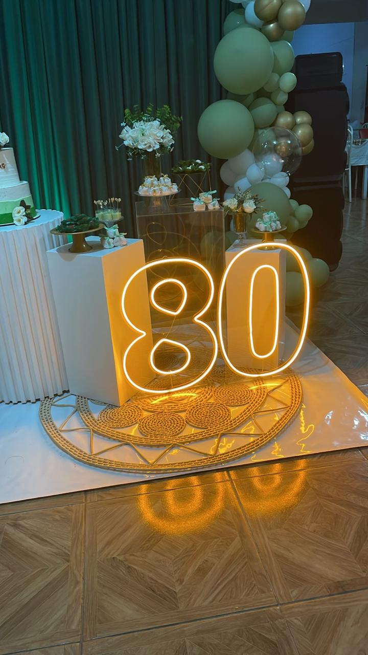 Combo Led numeros do (0 a0 9) Slim 50CM - Base removivel