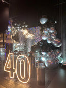 Combo Led numeros do (0 a0 9) Slim 50CM - Base removivel