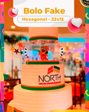 Bolo Fake Hexagonal 22x15
