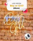 Letreiro "Boy or Girl"