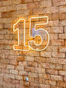 Número em Led Neon (0 ao 9) Slin Base removivel - 50CM