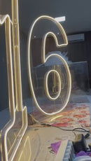 Combo Led numeros do (0 a0 9) Slim 50CM - Base removivel