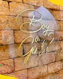 Painel "Boy or Girl" - Topodebolofestass